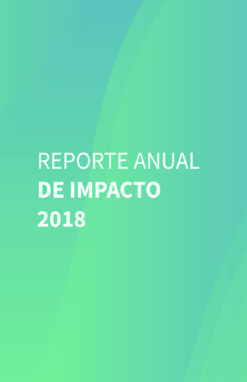 Reporte Anual de Impacto 2018
