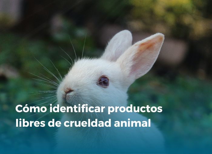 Productos libres de la crueldad animal